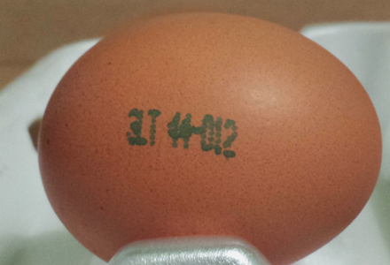 Kiaušinių ženklinimas